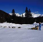 Escursioni & Attività Madonna di Campiglio