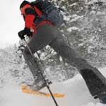 Escursioni & Attività Madonna di Campiglio